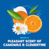 Sensitive Washing-Up Liquid 950ml- Camomile & Clementine